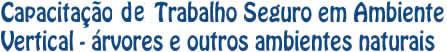 Capacitação de Trabalho Seguro em Ambiente Vertical - árvores e outros ambientes naturais